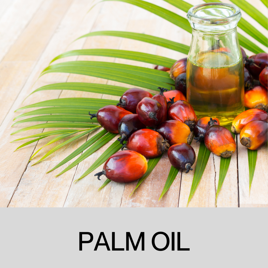 Palm oil