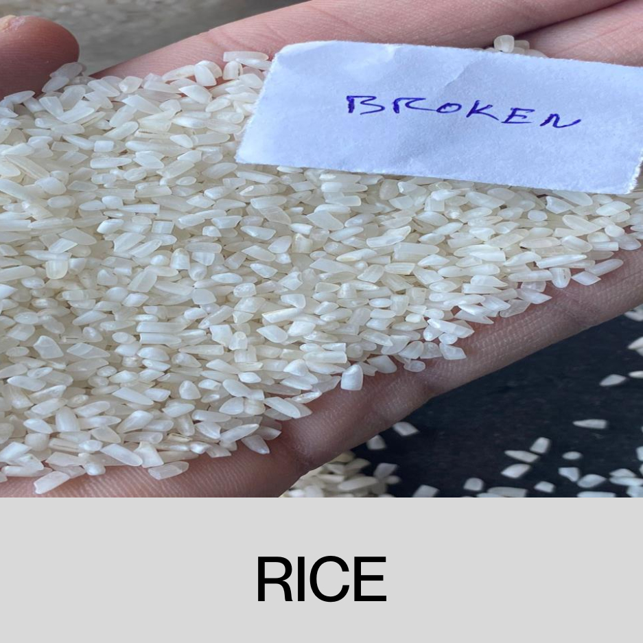 Rice